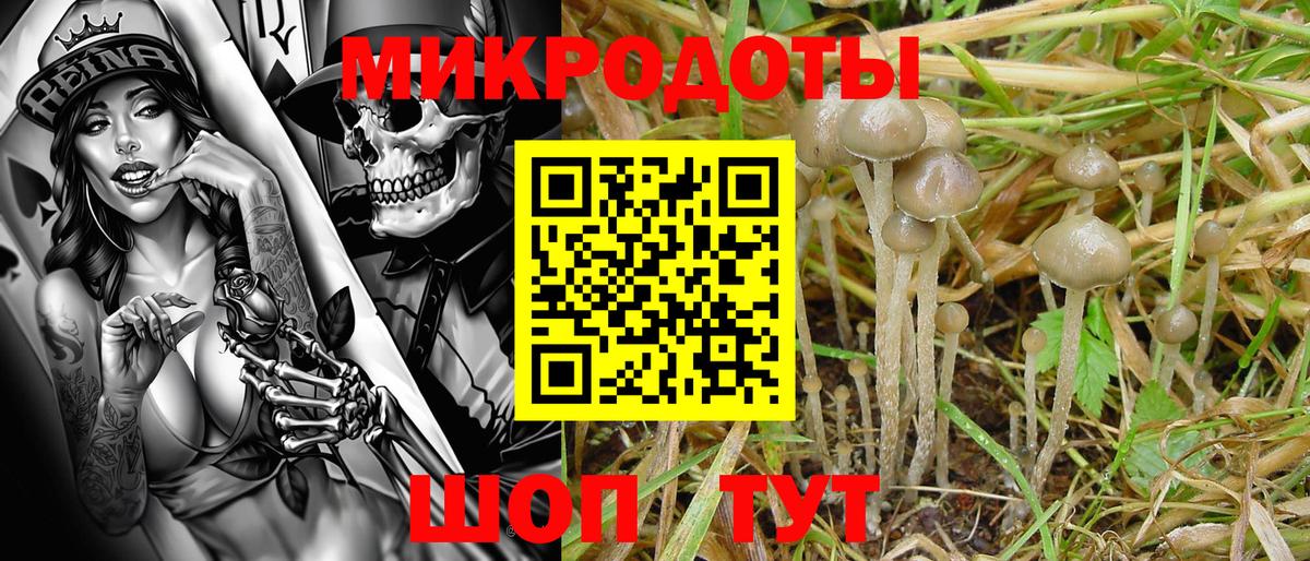 Борисоглебск  Псилоцибиновые грибы Cubensis  Галлюциногенные грибы Cubensis  Вход с VPN 